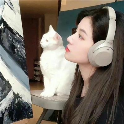 美妙共振封面